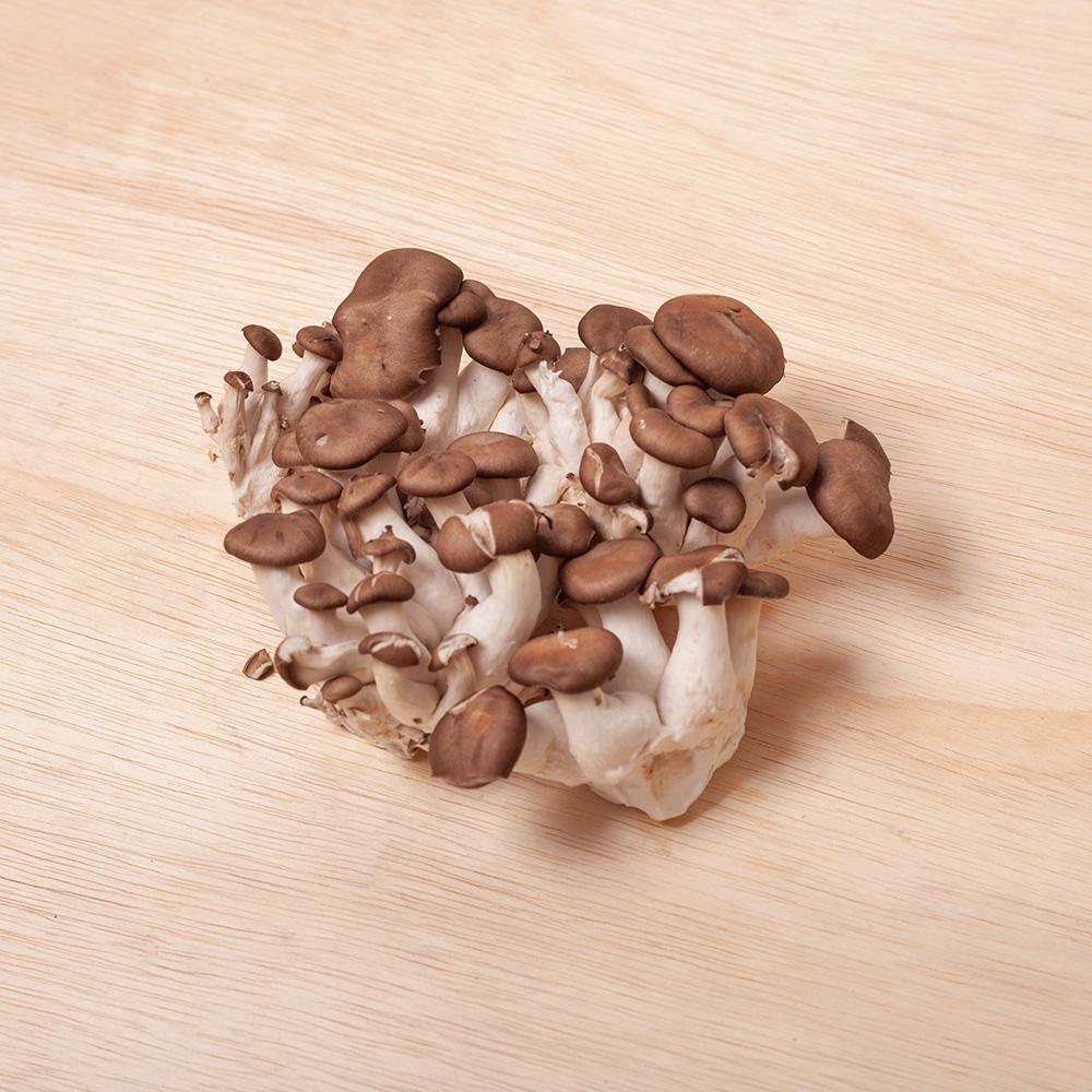 Cogumelo Shimeji Premium Orgânico